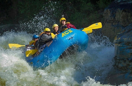 Whitewater Rafting on the Autumn Upper Gauley - Saturday