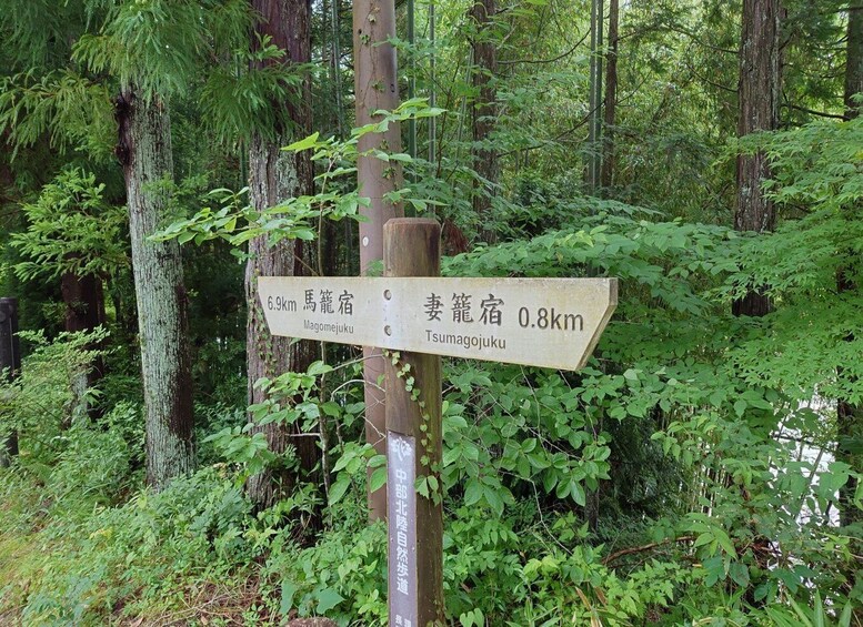 Picture 1 for Activity From Matsumoto/Nagano: Nakasendo Trail Walking Tour