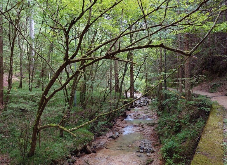 Picture 2 for Activity From Matsumoto/Nagano: Nakasendo Trail Walking Tour