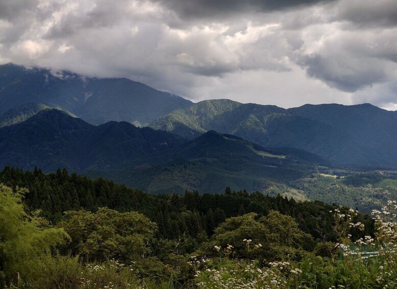 Picture 3 for Activity From Matsumoto/Nagano: Nakasendo Trail Walking Tour