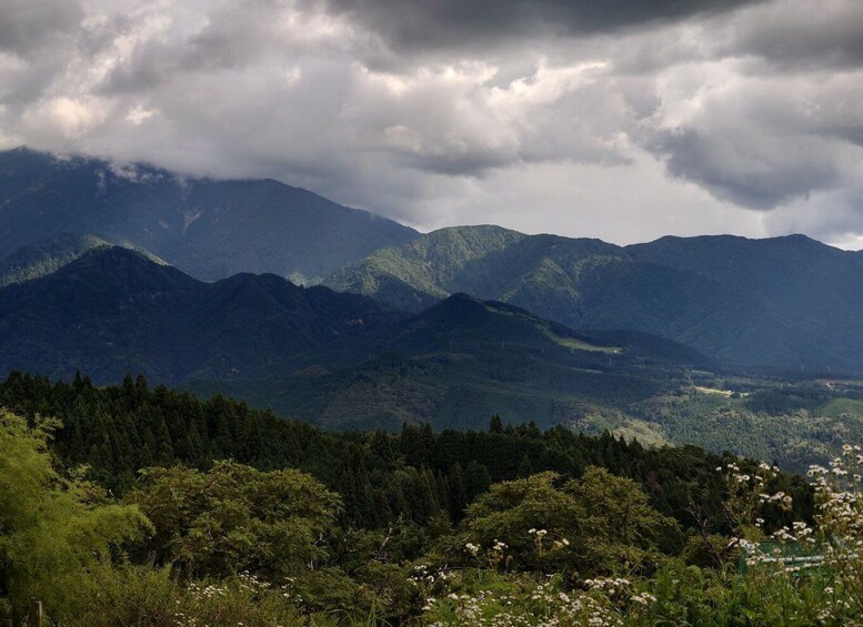 Picture 3 for Activity From Matsumoto/Nagano: Nakasendo Trail Walking Tour