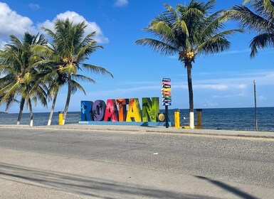 Roatan Island Tour + Beach