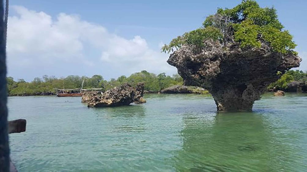 Zanzibar: Safari Blue, the Traditional Dhow Sea Adventure.