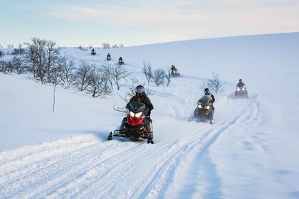 Alta: Guided Snowmobile Safari on Finnmarksvidda With Snacks