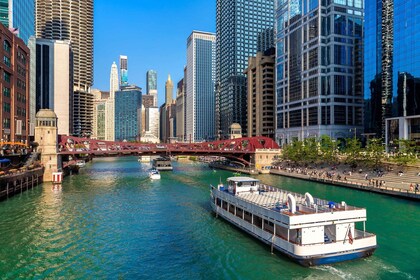 Chicago: Small Group Walking Tour with Skydeck and Boat