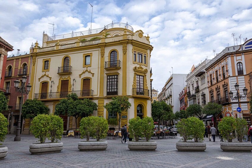 Picture 1 for Activity From Cadiz: Private Seville Day Trip, Cathedral & Alcazar