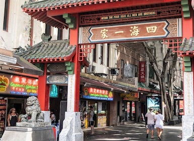 Sydney : Chinatown Street Food et Culture Guided Walking excursion