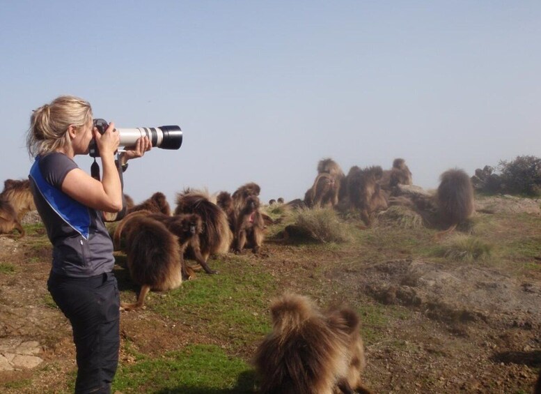 3 Days Trekking & Wildlife Spotting in the Simien Mountains