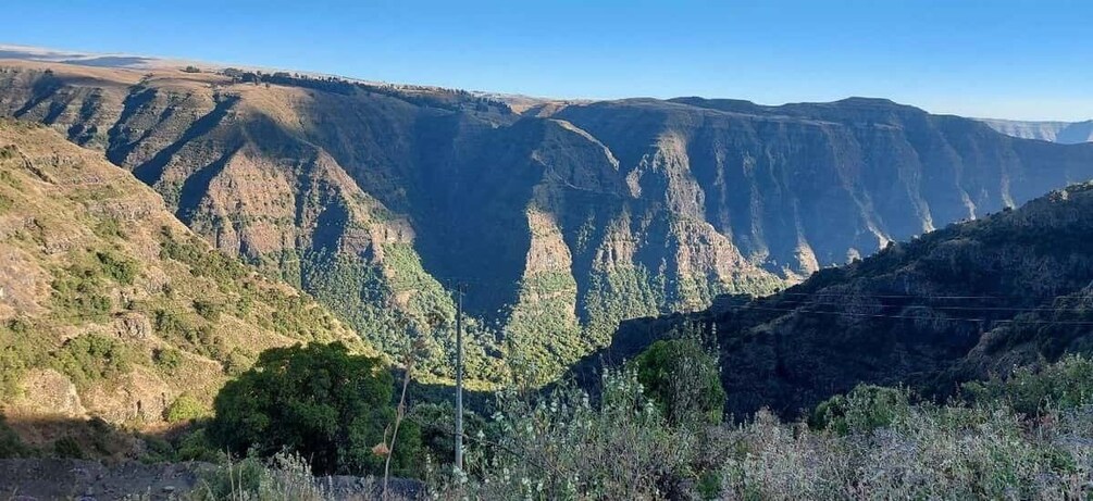 Picture 4 for Activity 3 Days Trekking & Wildlife Spotting in the Simien Mountains