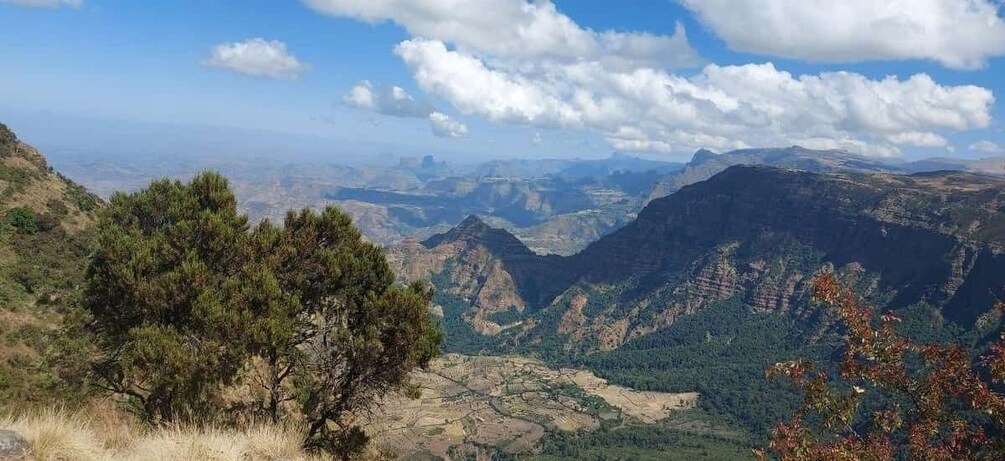 Picture 2 for Activity 3 Days Trekking & Wildlife Spotting in the Simien Mountains