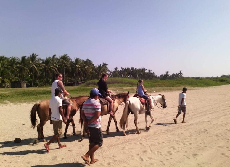 Picture 1 for Activity Acapulco: Gentle Beach Horse Riding Tour on Barra Vieja