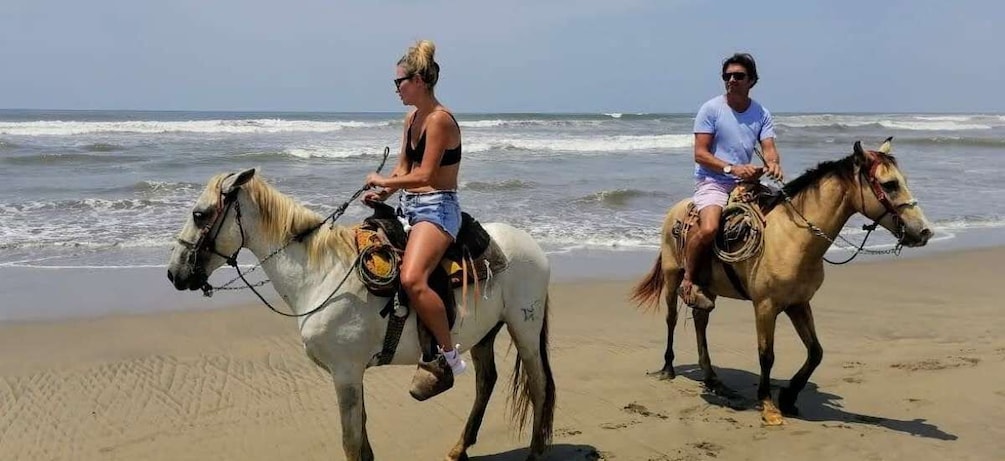 Picture 4 for Activity Acapulco: Gentle Beach Horse Riding Tour on Barra Vieja