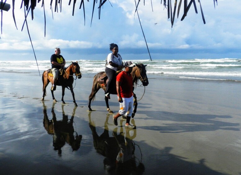Picture 2 for Activity Acapulco: Gentle Beach Horse Riding Tour on Barra Vieja