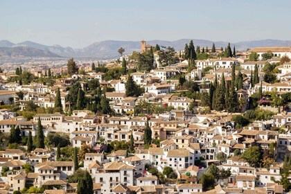 Vanuit Malaga en Costa Del Sol: Dagtocht Granada