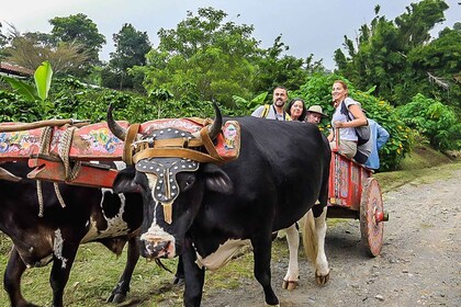 Monteverde: Coffee, Chocolate, and Sugar Cane Day Trip