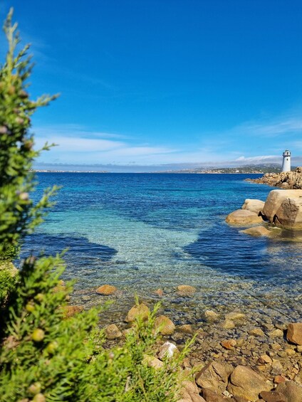 Picture 5 for Activity Boat Rental: Arcipelago di La Maddalena/Palau/Costa Smeralda