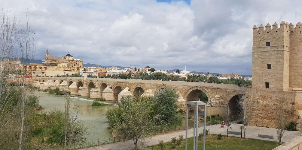 Picture 3 for Activity From Malaga: Cordoba Day Trip and Mosque-Cathedral