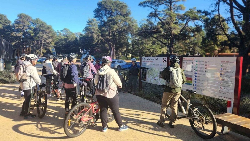 Picture 1 for Activity Dwellingup; 'Pedal 'n' Platter' Guided Mountain Bike Tour