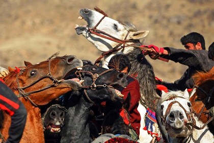 Buzkashi Games From Tashkent - Feel Spirit Of Nomads