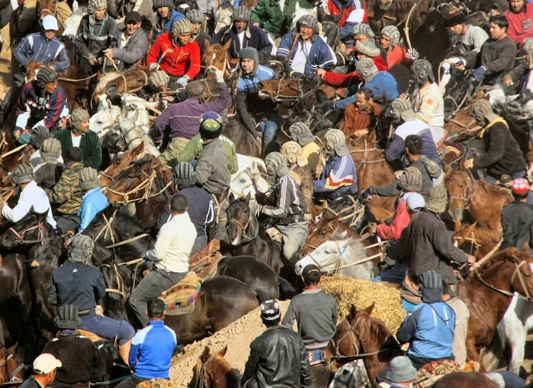 Picture 4 for Activity Buzkashi Games From Tashkent - Feel Spirit Of Nomads