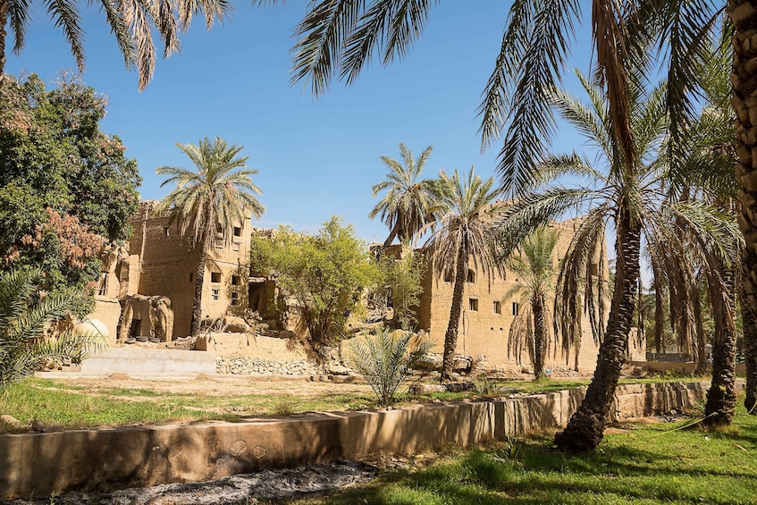 Picture 7 for Activity From Muscat: Nizwa & Al Hamra Guided Historical Tour