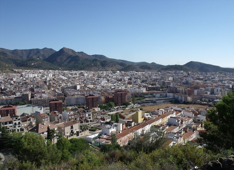 Picture 1 for Activity From Valencia: Private Half Day-Trip to Cuevas de San José