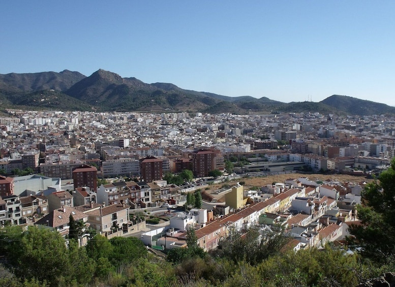 Picture 1 for Activity From Valencia: Private Half Day-Trip to Cuevas de San José