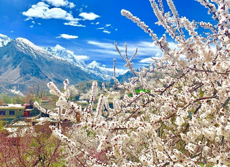 Picture 23 for Activity From Islamabad: 9-Day Colors of Hunza Valley Cultural Tour