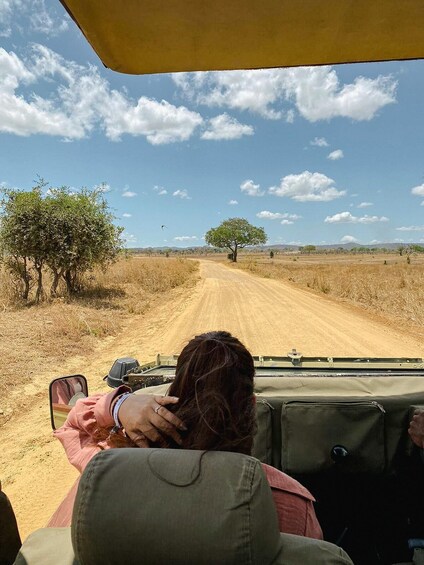 Picture 6 for Activity From Zanzibar: Mikumi Day Safari