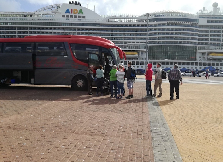 Picture 1 for Activity Lanzarote: César Manrique & Teguise Market from Cruise Port