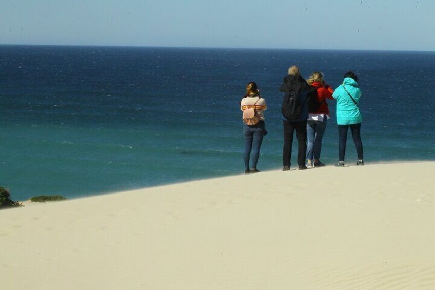 Whale watching from the beautiful unspoilt sand dunes.