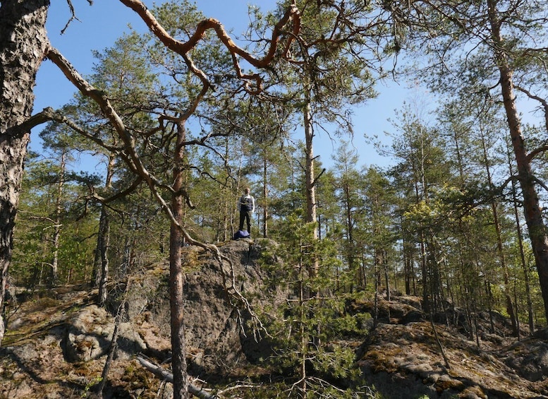 Picture 17 for Activity From Helsinki: Nuuksio National Park Hiking Tour with Food