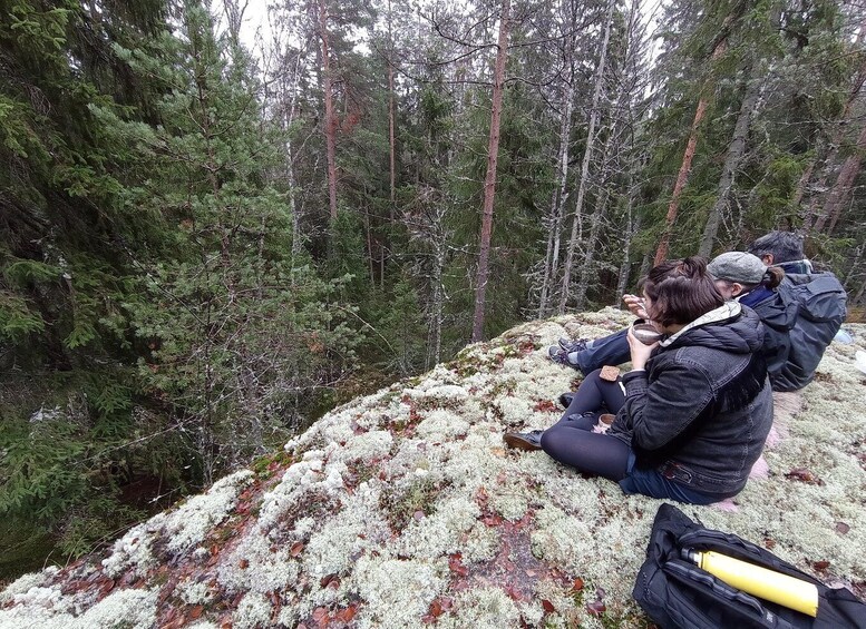 Picture 7 for Activity From Helsinki: Nuuksio National Park Hiking Tour with Food