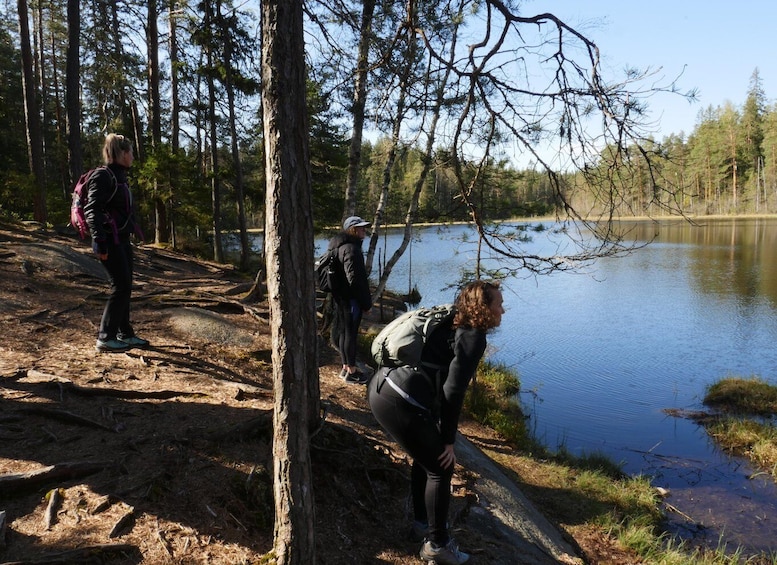 Picture 16 for Activity From Helsinki: Nuuksio National Park Hiking Tour with Food