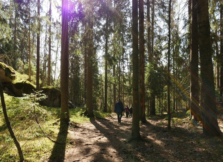 Picture 24 for Activity From Helsinki: Nuuksio National Park Hiking Tour with Food