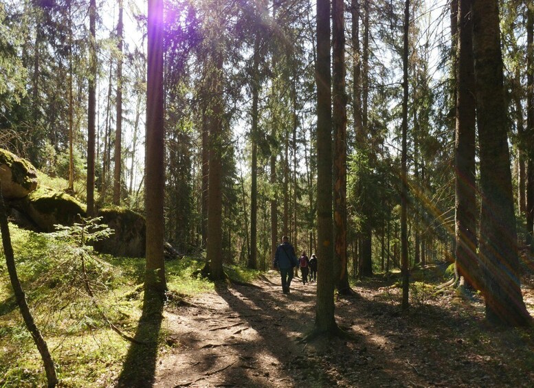Picture 24 for Activity From Helsinki: Nuuksio National Park Hiking Tour with Food