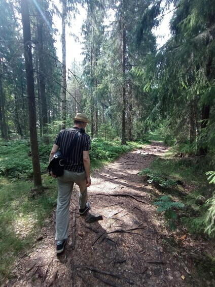 Picture 8 for Activity From Helsinki: Nuuksio National Park Hiking Tour with Food