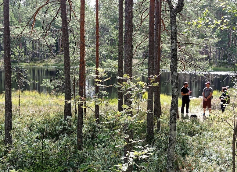 Picture 10 for Activity From Helsinki: Nuuksio National Park Hiking Tour with Food