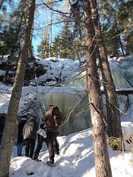 Picture 17 for Activity From Helsinki: Nuuksio National Park Hiking Tour with Food