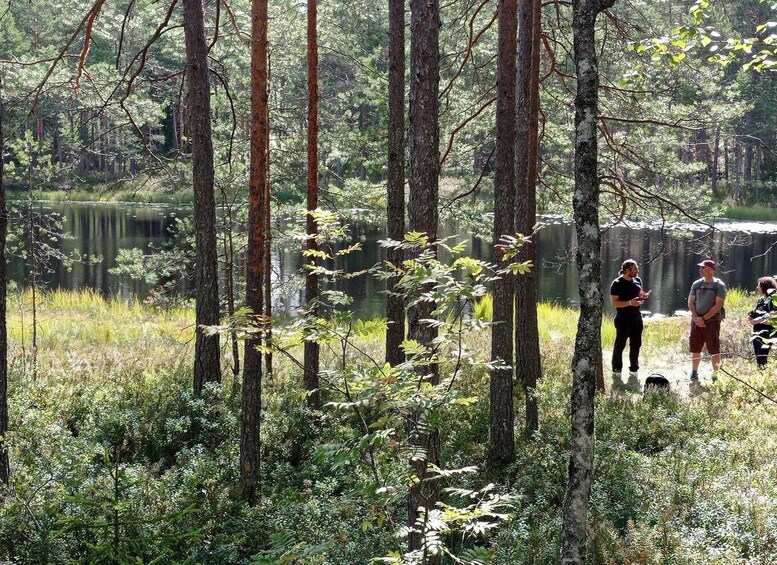 Picture 10 for Activity From Helsinki: Nuuksio National Park Hiking Tour with Food