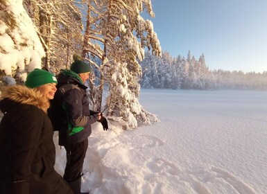 From Helsinki: Nuuksio National Park Hiking Tour with Food