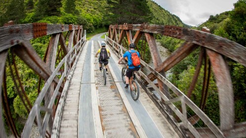 Remutaka Rail Trail eBike landudflugt for krydstogtskibe