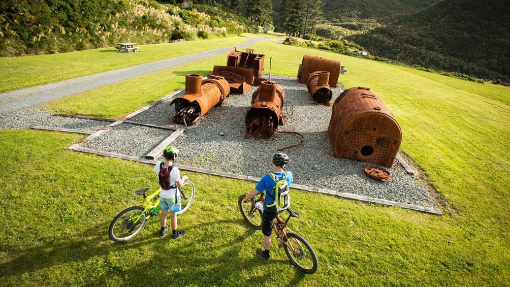 Picture 1 for Activity Remutaka Rail Trail eBike Shore Excursion for Cruise Ships