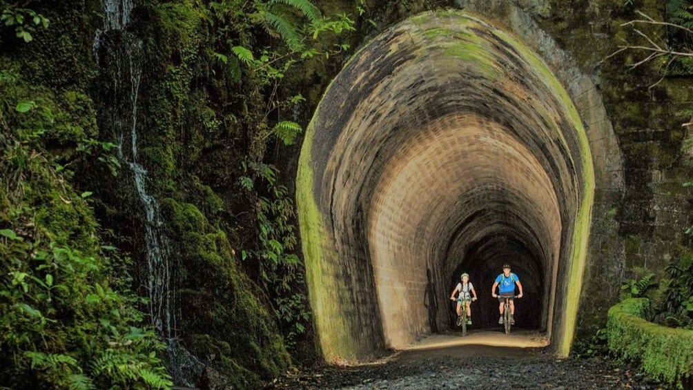 Picture 2 for Activity Remutaka Rail Trail eBike Shore Excursion for Cruise Ships