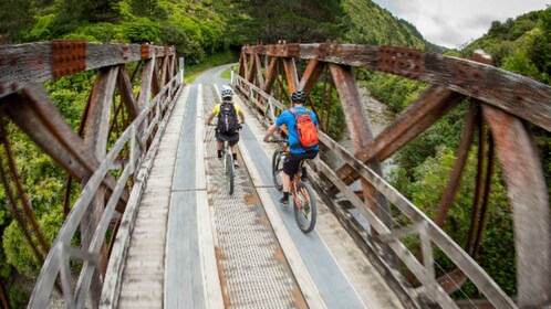 Landutflukt med el-sykkel på Remutaka Rail Trail for cruiseskip