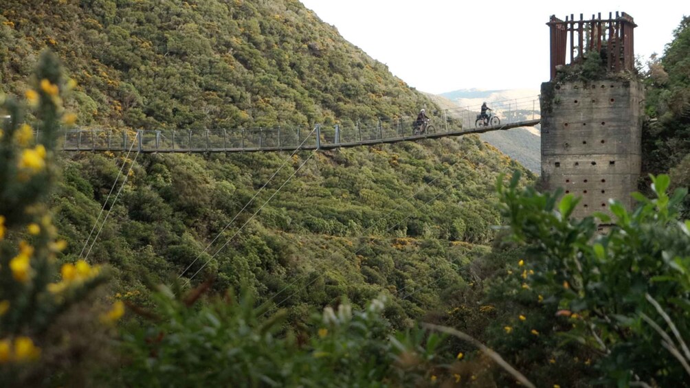 Picture 6 for Activity Remutaka Rail Trail eBike Shore Excursion for Cruise Ships