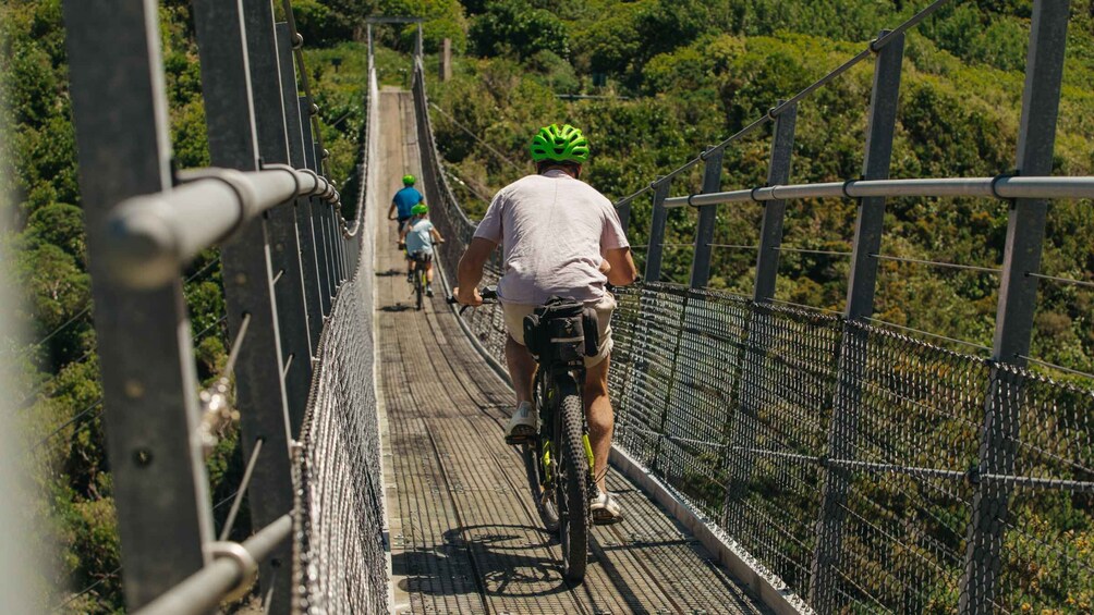 Picture 4 for Activity Remutaka Rail Trail eBike Shore Excursion for Cruise Ships