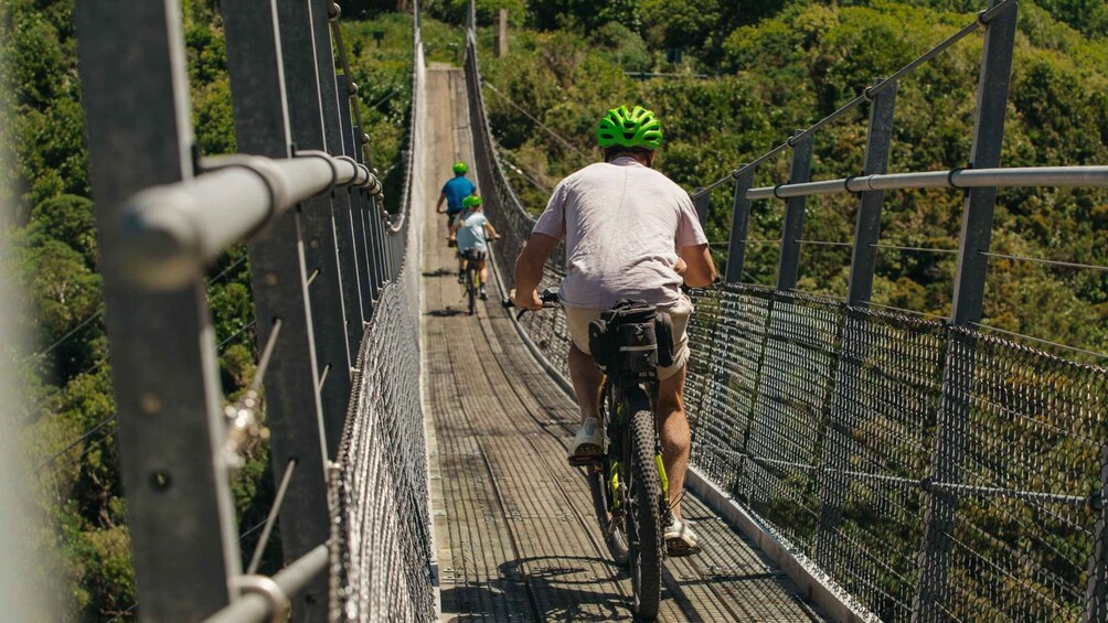 Picture 4 for Activity Remutaka Rail Trail eBike Shore Excursion for Cruise Ships