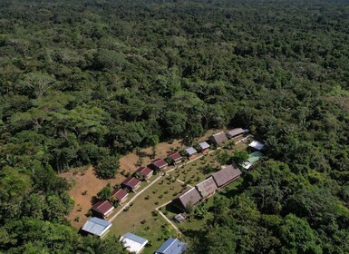 Tour guiado de 2 días por la jungla con todo incluido desde Iquitos