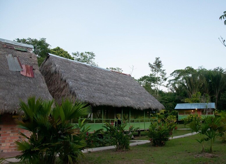 Picture 4 for Activity 2-Day All Inclusive Guided Jungle Tour from Iquitos